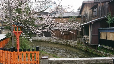 京都　桜の季節